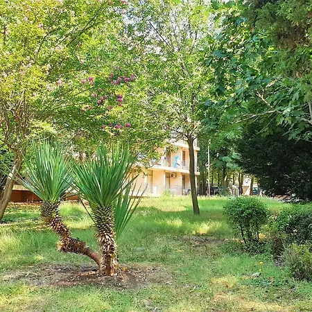 оазис парк ホテル