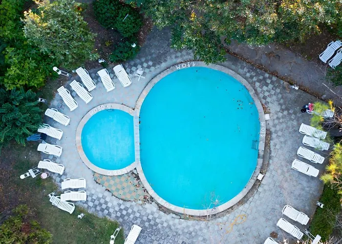 Отель оазис парк